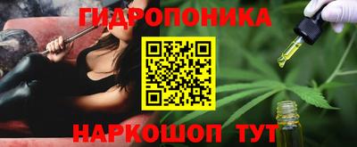соль ск Кулебаки