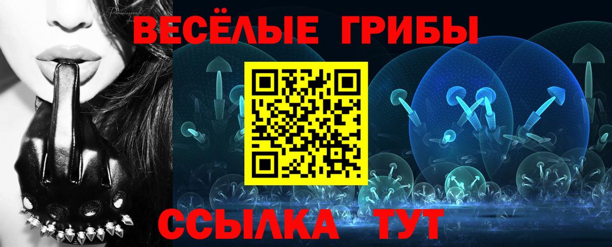 Галлюциногенные грибы Psilocybe Ессентуки