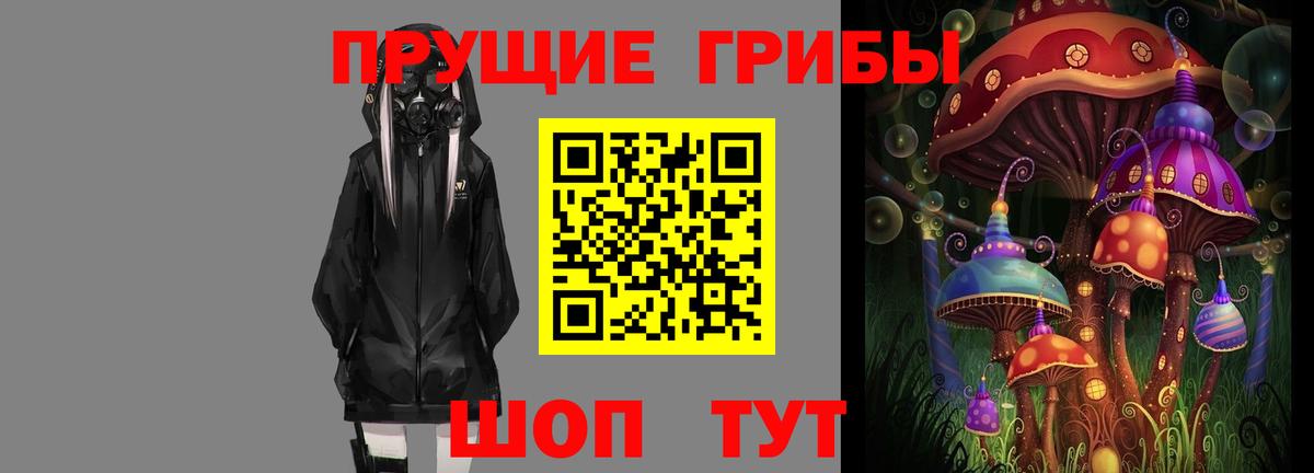 Псилоцибиновые грибы Psilocybe  Галлюциногенные грибы прущие грибы  Вход с VPN  Ессентуки 